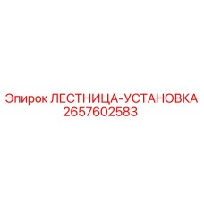 2657602583 ЛЕСТНИЦА-УСТАНОВКА Эпирок