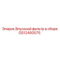 GS12450075 Впускной фильтр в сборе Epiroc