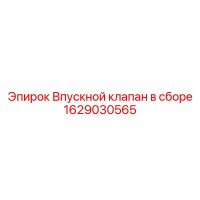 1629030565 ВПУСКНОЙ КЛАПАН В СБОРЕ Epiroc