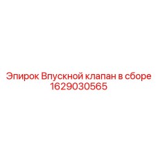 Фото впускного клапана в сборе Epiroc с номером 1629030565