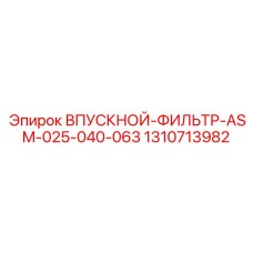 1310713982 Впускной Фильтр ASM-025-040-063 Epiroc