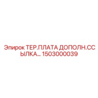 1503000039 ТЕР.ПЛАТА ДОПОЛН.ССЫЛКА… Epiroc