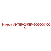 6060001009 ИНТЕРКУЛЕР Epiroc