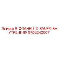 9753242007 8-ФЛАНЕЦ-X-BAUER-ВНУТРЕННЯЯ Epiroc