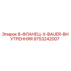9753242007 8-ФЛАНЕЦ-X-BAUER-ВНУТРЕННЯЯ Epiroc
