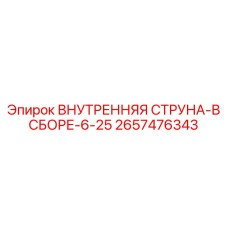 2657476343 Внутренняя струна-В сборе-6-25 Epiroc