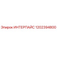 1202394800 ИНТЕРПАЙС Epiroc