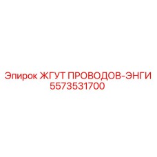 5573531700 ЖГУТ ПРОВОДОВ-ЭНГИ Epiroc