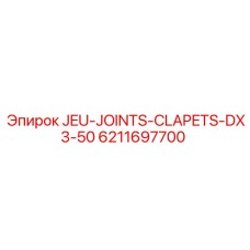 6211697700 JEU-JOINTS-CLAPETS-DX3-50 Epiroc