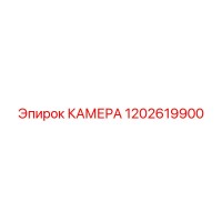 1202619900 КАМЕРА Epiroc