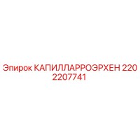 2202207741 КАПИЛЛАРРОЭРХЕН Epiroc