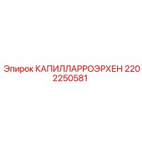 2202250581 КАПИЛЛАРРОЭРХЕН Epiroc