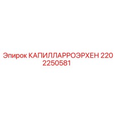 2202250581 КАПИЛЛАРРОЭРХЕН Epiroc