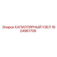 1624961706 КАПИЛЛЯРНЫЙ УЗЕЛ Эпирок