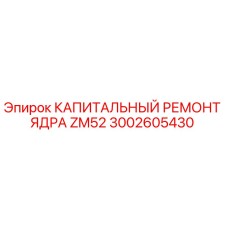 3002605430 КАПИТАЛЬНЫЙ РЕМОНТ ЯДРА ZM52 Epiroc