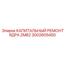 Комплект для капитального ремонта ZM82 3002605450