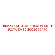 3002605470 КАПИТАЛЬНЫЙ РЕМОНТ ЯДРА ZM82 Epiroc