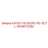 1604672280 КАПОТ-В СБОРЕ-PE-3CYL Epiroc