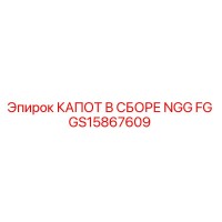GS15867609 КАПОТ В СБОРЕ NGG FG - Epiroc