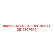 GS15867609 КАПОТ В СБОРЕ NGG FG - Epiroc