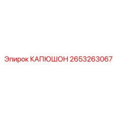 2653263067 КАПЮШОН (Epiroc)
