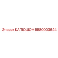 5580003644 КАПЮШОН Эпирок