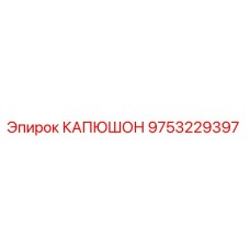 9753229397 КАПЮШОН Epiroc