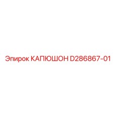 D286867-01 КАПЮШОН Epiroc