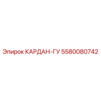 5580080742 KARDAN-GU Epiroc