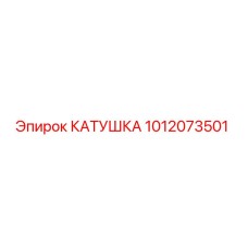 1012073501 КАТУШКА Epiroc