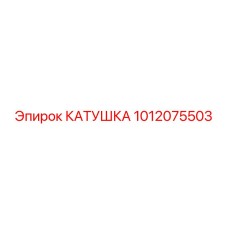1012075503 КАТУШКА Epiroc