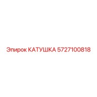 5727100818 КАТУШКА Epiroc