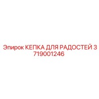 3719001246 КЕПКА ДЛЯ РАДОСТЕЙ Epiroc
