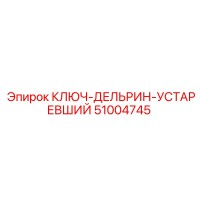 51004745 КЛЮЧ-ДЕЛЬРИН-УСТАРЕВШИЙ Эпирок
