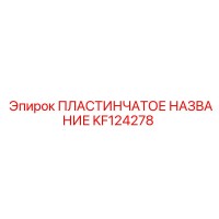 KF124278 ПЛАСТИНЧАТОЕ НАЗВАНИЕ Epiroc