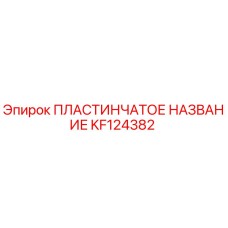 KF124382 ПЛАСТИНЧАТОЕ НАЗВАНИЕ Epiroc