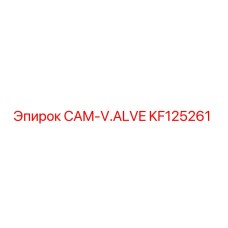 KF125261 CAM-V.ALVE Epiroc