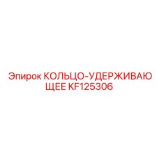 KF125306 КОЛЬЦО-УДЕРЖИВАЮЩЕЕ - Epiroc