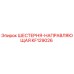 KF129026 ШЕСТЕРНЯ-НАПРАВЛЯЮЩАЯ Epiroc