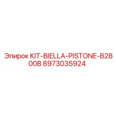 Комплект для ремонта гидроцилиндра KIT-BIELLA-PISTONE-B2800B