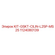 1124080139 KIT-GSKT-CILIN-L25P-MS25 Epiroc