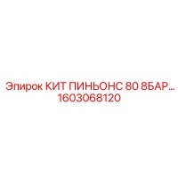 1603068120 КИТ ПИНЬОНС 80 8БАР Epiroc