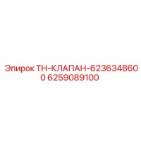 6259089100 TH-КЛАПАН-6236348600 Epiroc