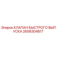 2658304817 - КЛАПАН БЫСТРОГО ВЫПУСКА - Epiroc