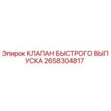 2658304817 - КЛАПАН БЫСТРОГО ВЫПУСКА - Epiroc