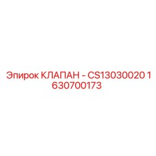 1630700173 КЛАПАН - CS13030020 Epiroc