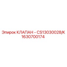 1630700174 КЛАПАН - CS13030028/K Epiroc