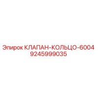 9245999035 КЛАПАН-КОЛЬЦО-6004 Epiroc