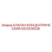 GS12516028 КЛАПАН КОНЦЕНТРИЧЕСКИЙ Epiroc