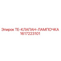 1617223101 TE-КЛАПАН-ЛАМПОЧКА Epiroc